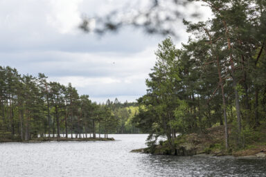 VFF Pension höjer återbäringsräntan!